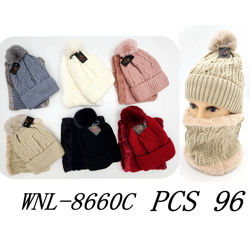 WNL-8660C CS96